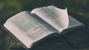 the bible